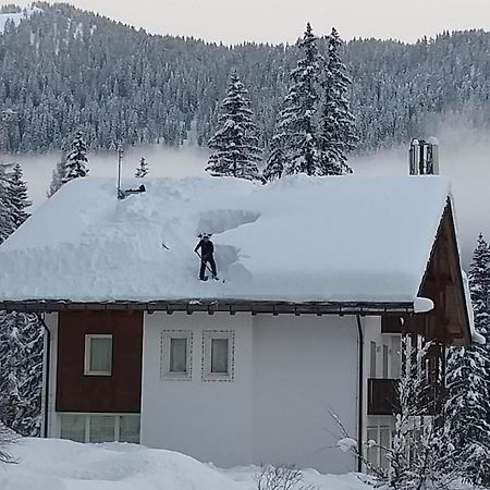 Hotel Ca' Del Bosco Selva di Cadore Extérieur photo