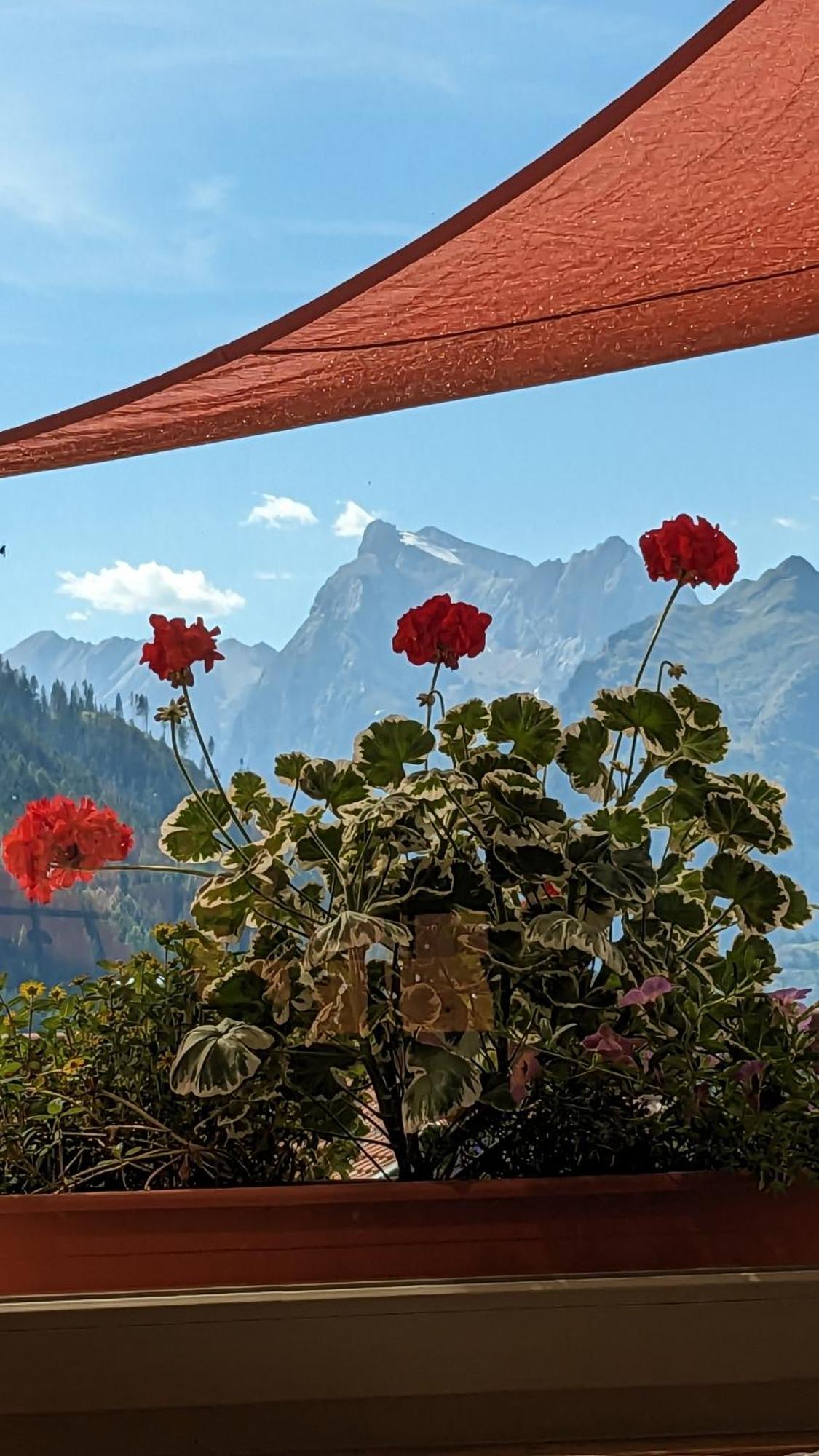 Hotel Ca' Del Bosco Selva di Cadore Extérieur photo