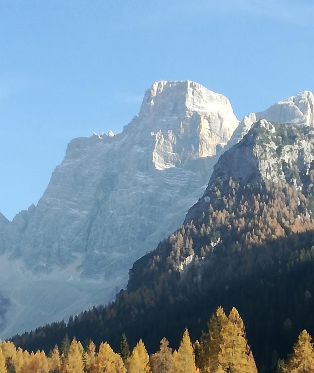 Hotel Ca' Del Bosco Selva di Cadore Extérieur photo