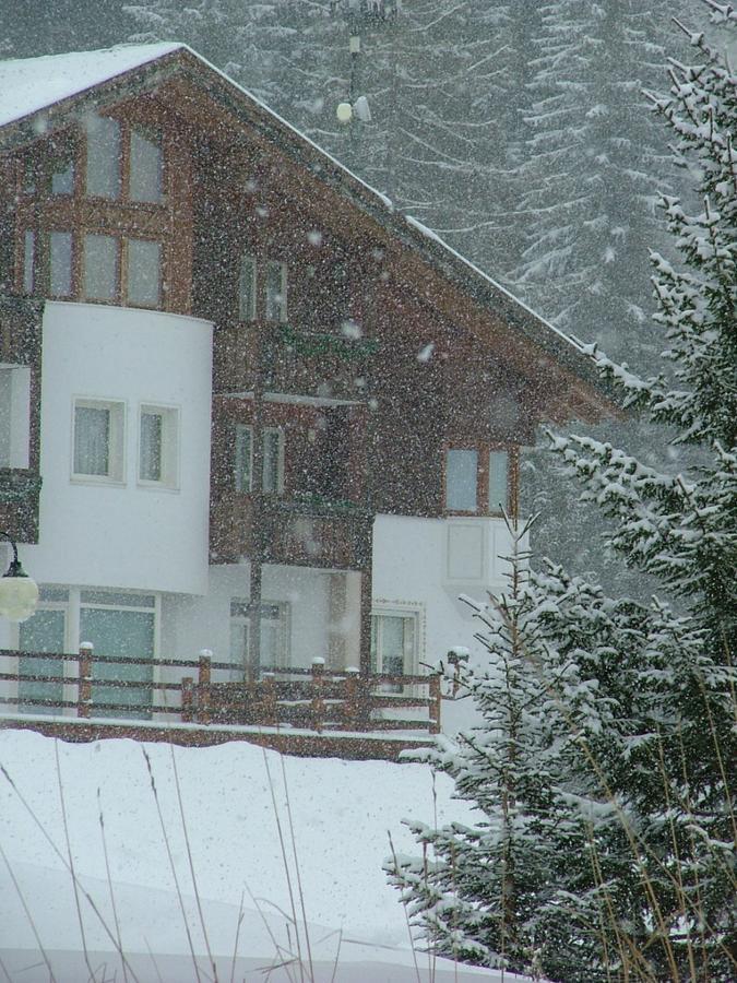 Hotel Ca' Del Bosco Selva di Cadore Extérieur photo