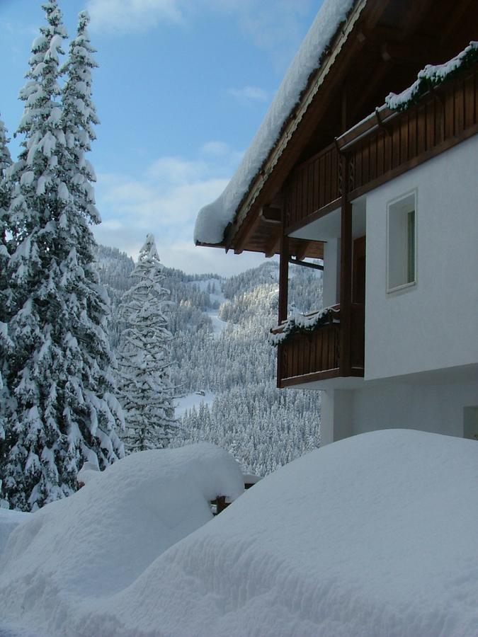 Hotel Ca' Del Bosco Selva di Cadore Extérieur photo